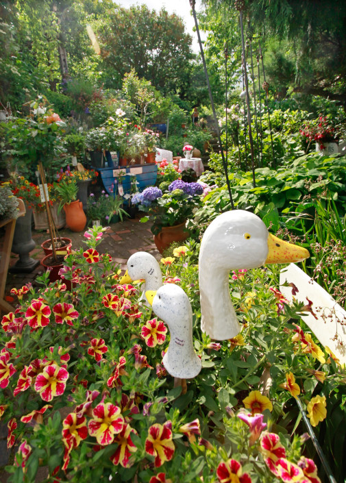 Blumen und Gänseskulpturen - Foto Oliver Schepp